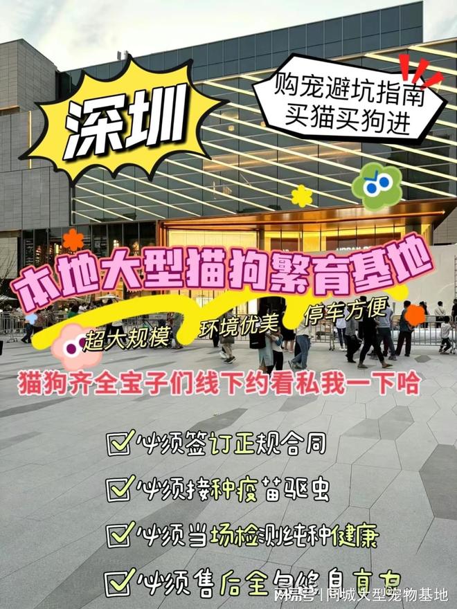 深圳哪里可以买宠物猫狗？这里有你想要的还能亲自挑选宠物哦