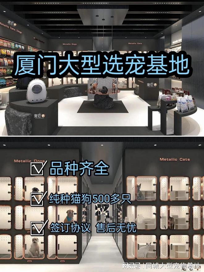 厦门最大的宠物市场在哪里？这里安全可靠能挑选心仪的宠物哦