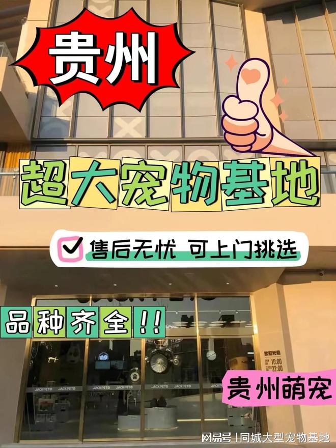 贵阳哪里有便宜的猫狗市场？这儿有实体店可选放心大胆挑吧